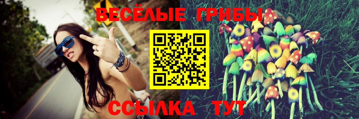 Биробиджан  Галлюциногенные грибы прущие грибы  Псилоцибиновые грибы прущие грибы  Вход с VPN 