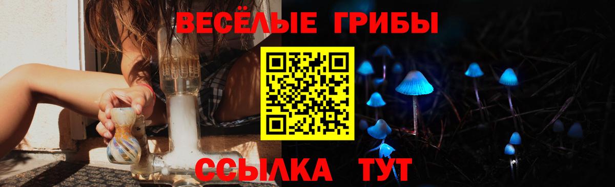 Галлюциногенные грибы Cubensis Биробиджан